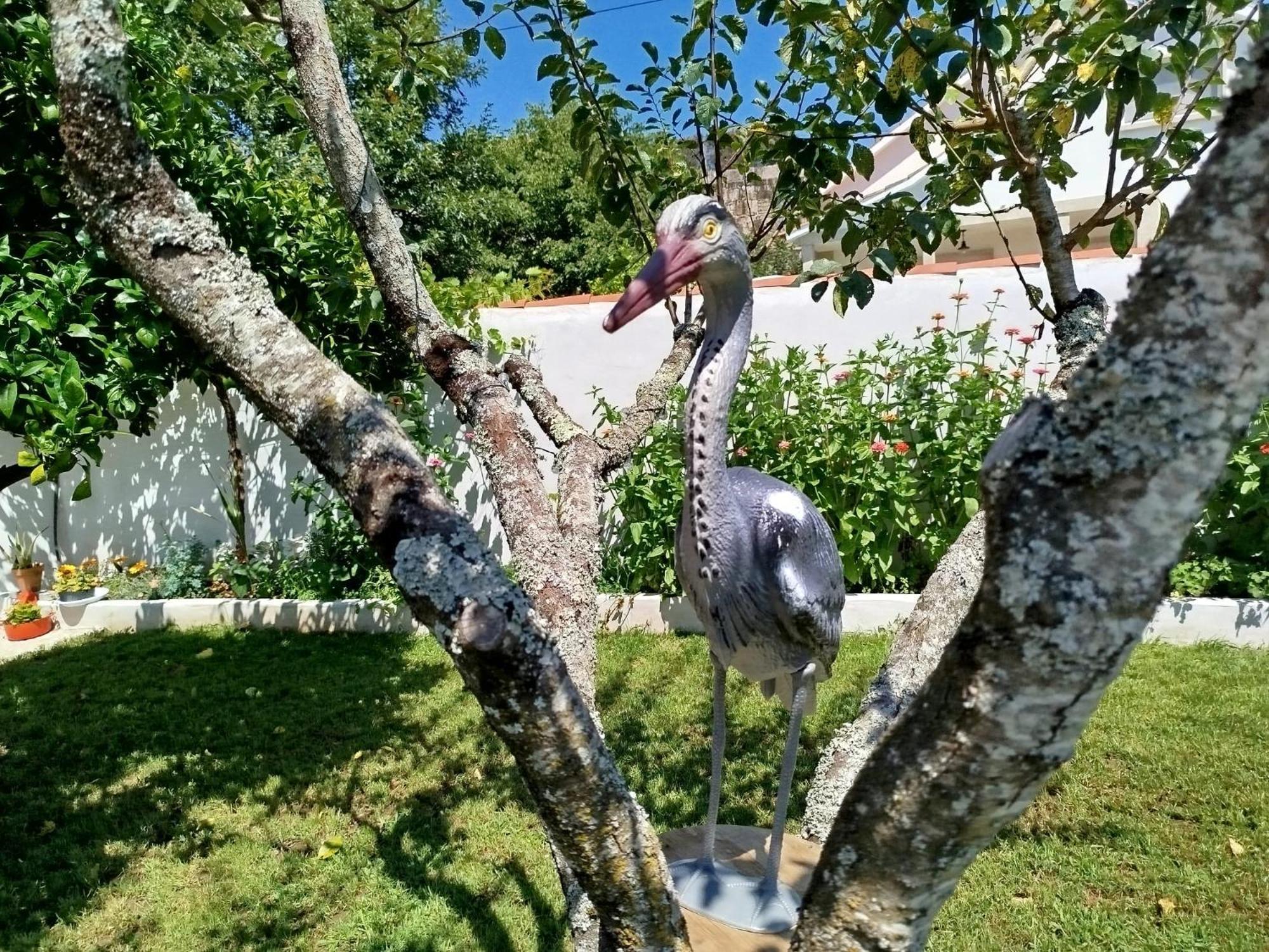 A Telleira Villa Rosal Bagian luar foto